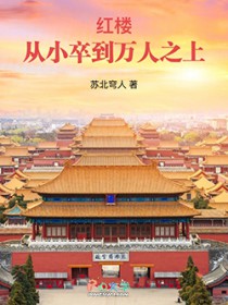 红楼：从小卒到万人之上