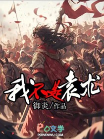 我不是袁术