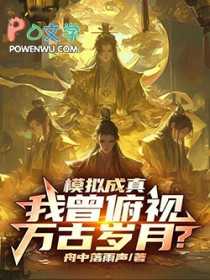 模拟成真，我曾俯视万古岁月？